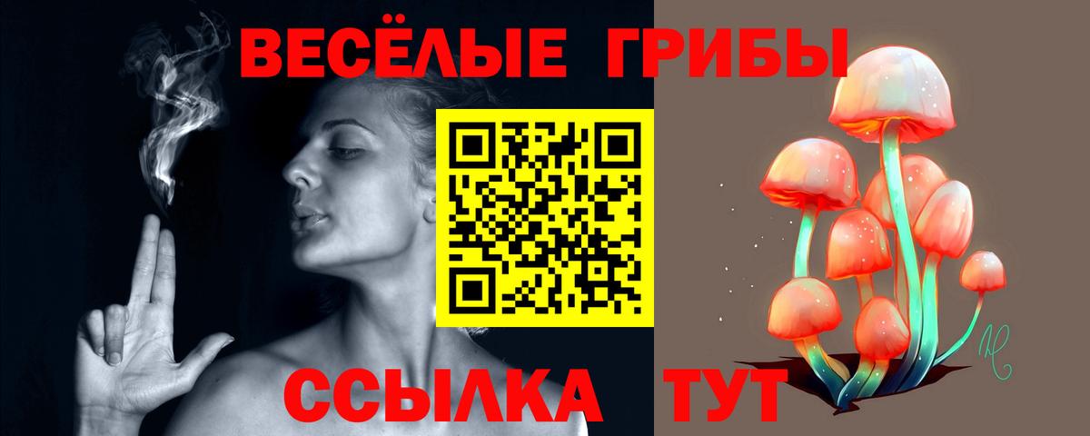 Псилоцибиновые грибы ЛСД  даркнет сайт  Белгород  Вход с VPN 